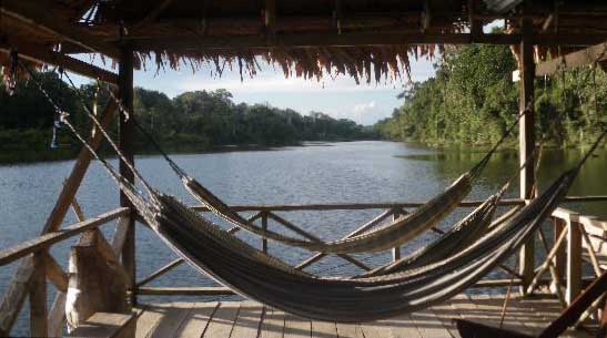 amazon hammocks